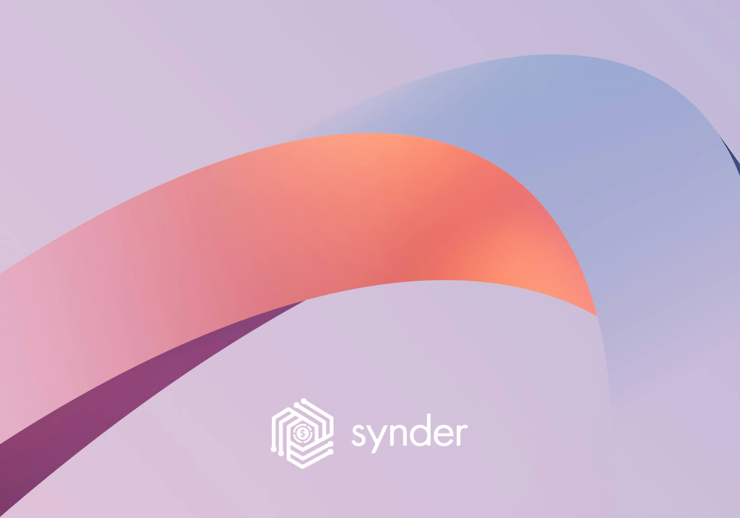 Scale your Shopify B2B business with proven steps from SparkLayer and Synder