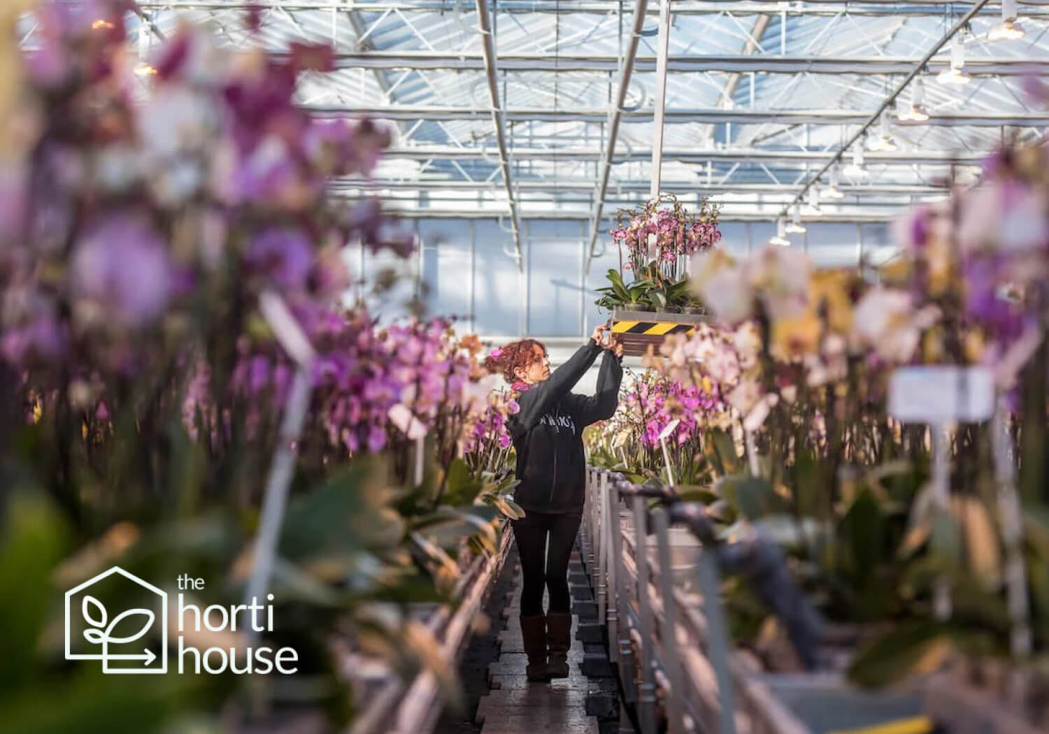 Leveraging SparkLayer’s foundations and partner network, Horti House’s journey to scalable success